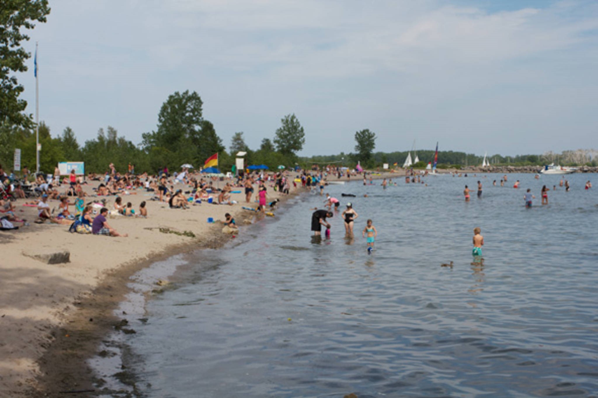 ward_island_beach_2