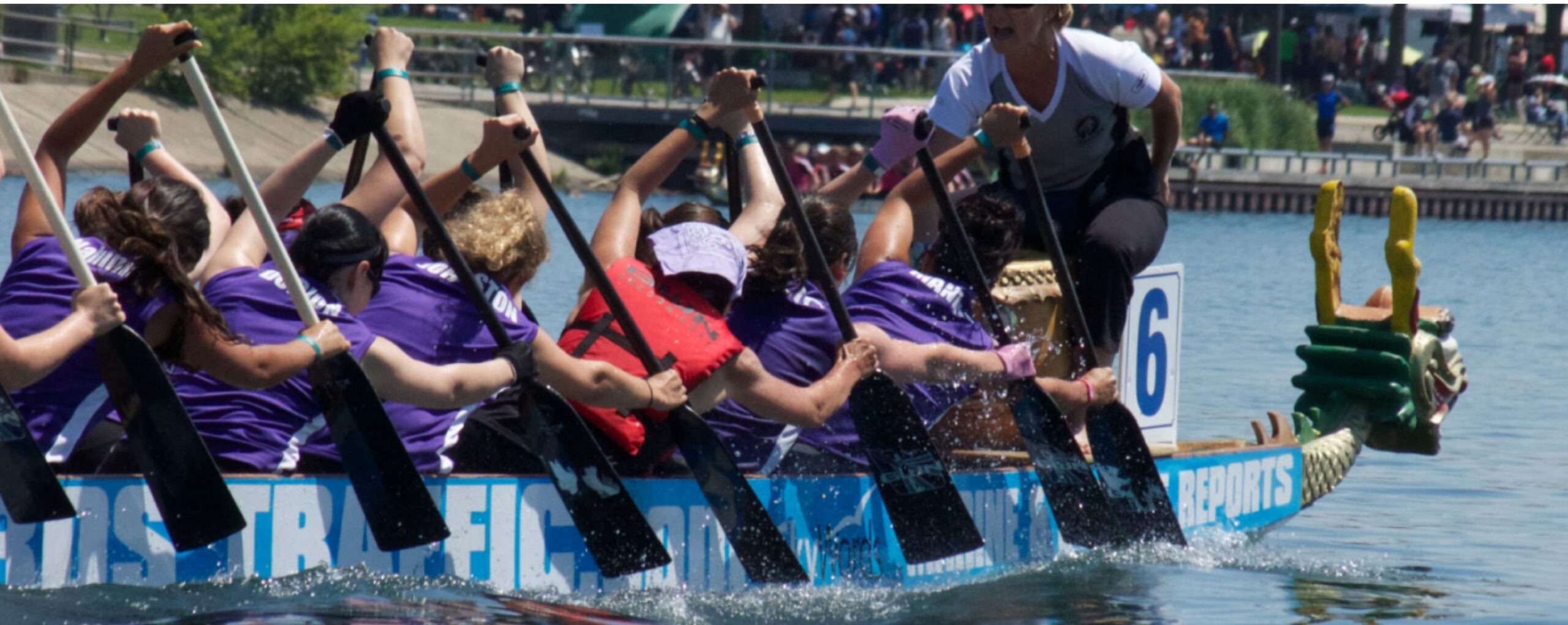 2025 Toronto International Dragon Boat Race Festival